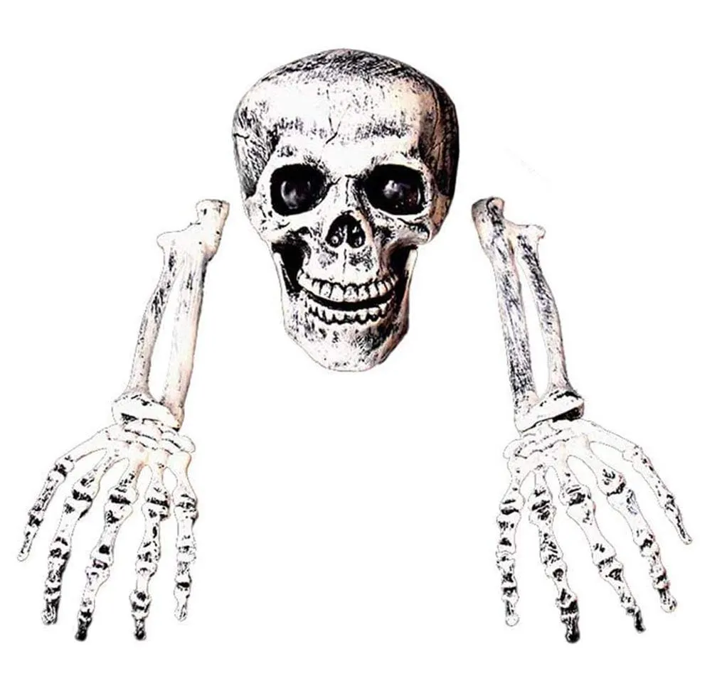 Decoración de Calavera de Esqueleto de Halloween, Horror de Halloween enterrado Calaveras de Esqueleto vivientes jardín Patio Decoraciones de césped : Amazon.com.mx: Hogar y Cocina Decoración de Calavera de Esqueleto de Halloween, Horror de Halloween enterrado Calaveras de Esqueleto vivientes jardín Patio Decoraciones de césped : Amazon.com.mx: Hogar y Cocina