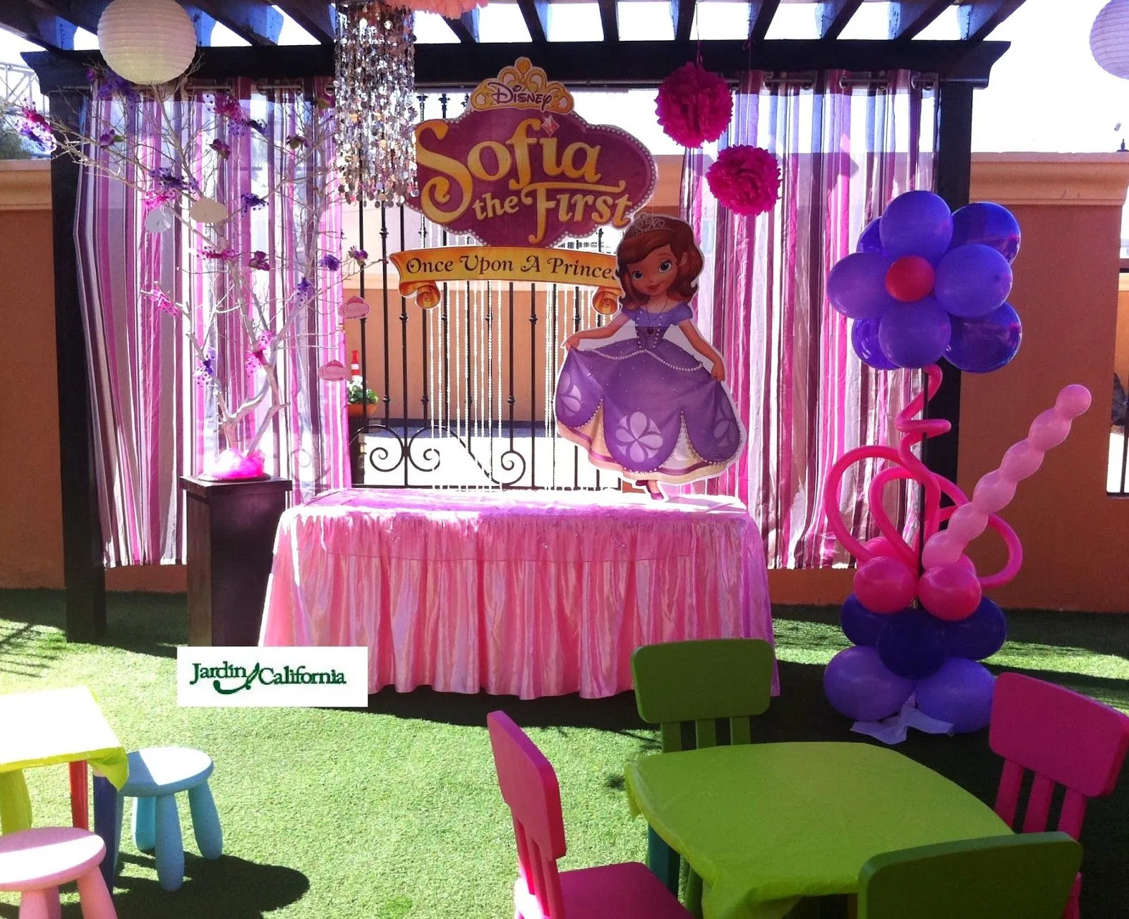 Decoración princesa sofia - Imagui