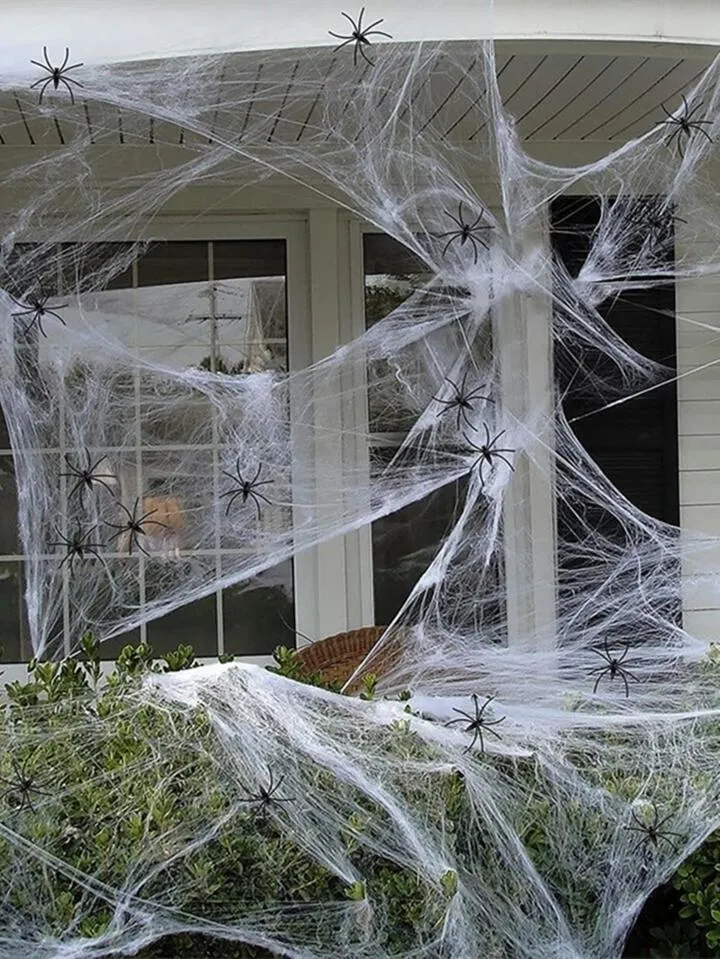 Decoración de Halloween, telaraña blanca, telaraña elástica Artificial para Halloween, accesorios de escena de fiesta en casa aterradora, decoración de Casa Encantada | Moda de Mujer | SHEIN México Decoración de Halloween, telaraña blanca, telaraña elástica Artificial para Halloween, accesorios de escena de fiesta en casa aterradora, decoración de Casa Encantada | Moda de Mujer | SHEIN México