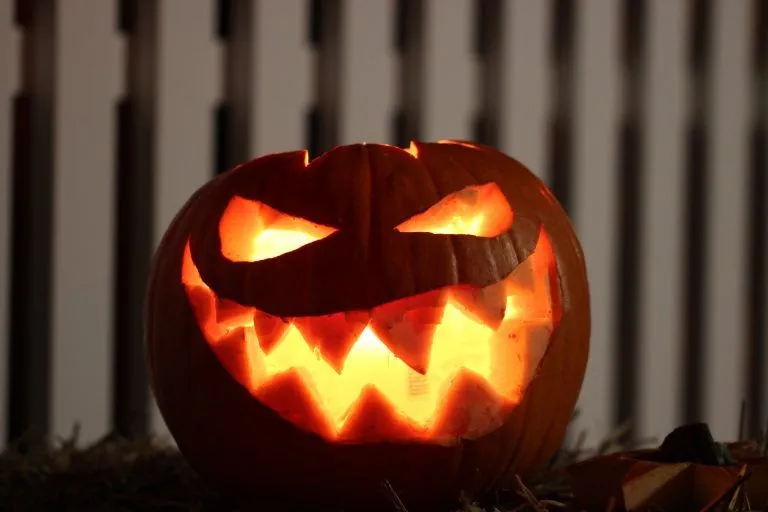 Cómo decorar calabazas para Halloween originales en 2021? Cómo decorar calabazas para Halloween originales en 2021?