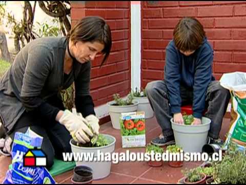 Como Decorar Macetas, Maceteros o Jardineras