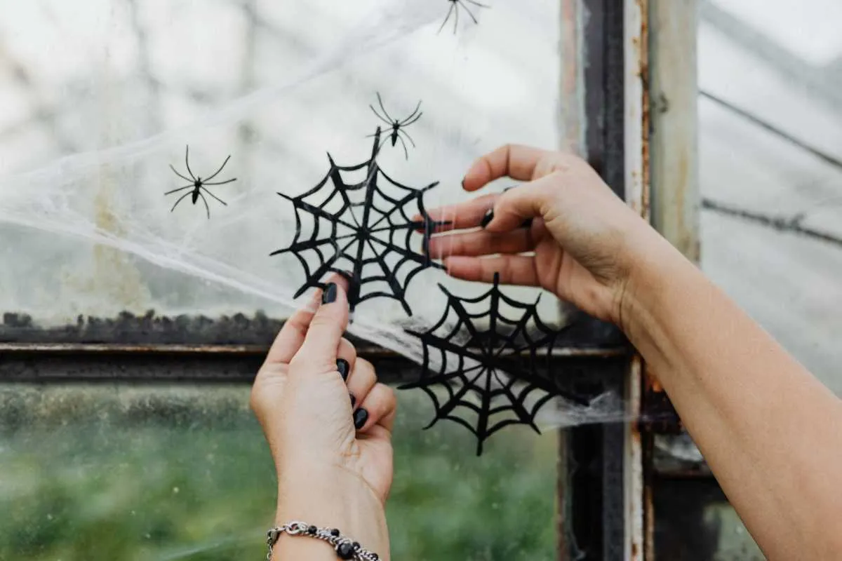 No decores tu jardín con telarañas en Halloween por este motivo No decores tu jardín con telarañas en Halloween por este motivo