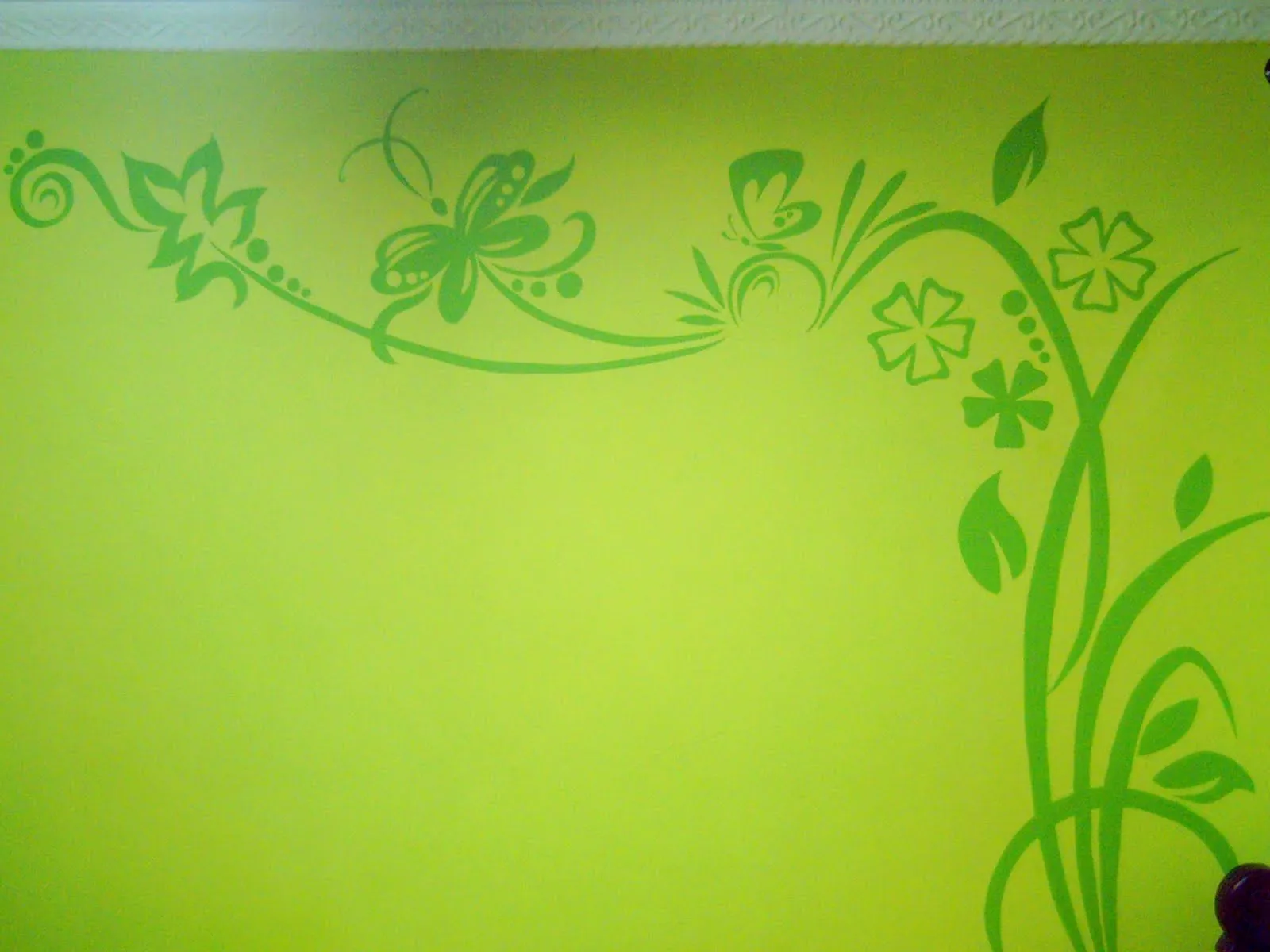 Decoro tus paredes: Diseños pintados sobre paredes Decoro tus paredes: Diseños pintados sobre paredes