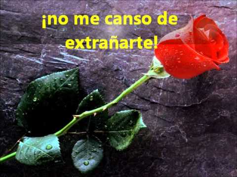 DEDICADO A MI SANTA MADRE QUE ESTA EN EL CIELO - YouTube DEDICADO A MI SANTA MADRE QUE ESTA EN EL CIELO - YouTube