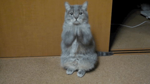 Dedicanos un gif animado - Página 34 - FobiaSocial.net Dedicanos un gif animado - Página 34 - FobiaSocial.net