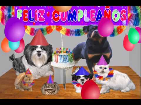 Dedicatoria de cumpleaños, Video chistoso, video gracioso ...