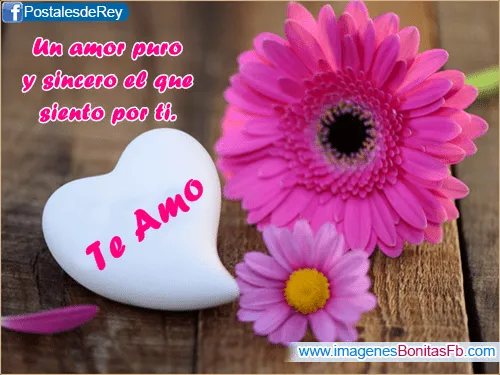 Dedicatorias bonitas con frases de amor - Imagenes de Amor Facebook