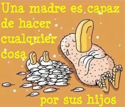dedicatorias-para-los-hijos.jpg