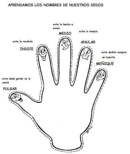 LOS DEDOS DE LA MANO EL NOMBRE DE LOS DEDOS LOS DEDOS DE LA MANO EL NOMBRE DE LOS DEDOS
