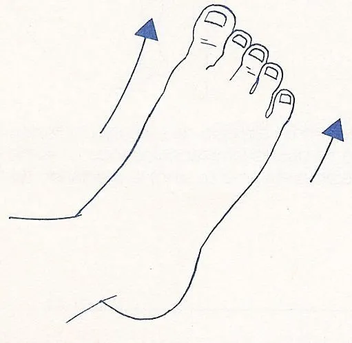 BUFFALOSATH: EJERCICIOS DE REHABILITACIÓN DE LOS PIES y tobillos BUFFALOSATH: EJERCICIOS DE REHABILITACIÓN DE LOS PIES y tobillos