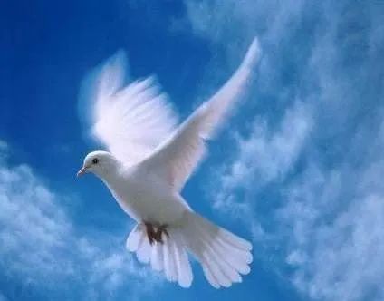 DEFENDER LA VIDA- (SI QUERES CONOCER LA OBRA VISITA: osvaldovignau ...