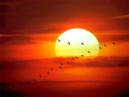 Definición de Amanecer » Concepto en Definición ABC