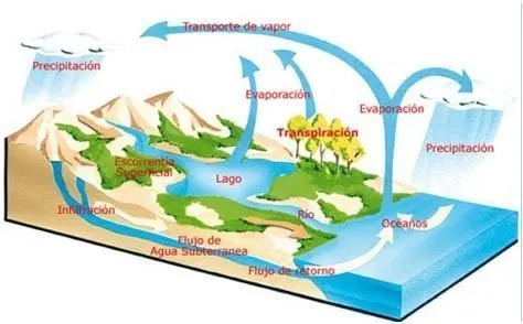 Definición de ecosistema