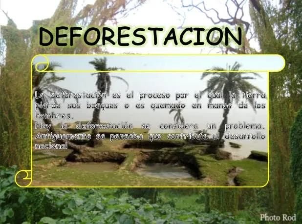 Deforestación en dibujos - Imagui Deforestación en dibujos - Imagui