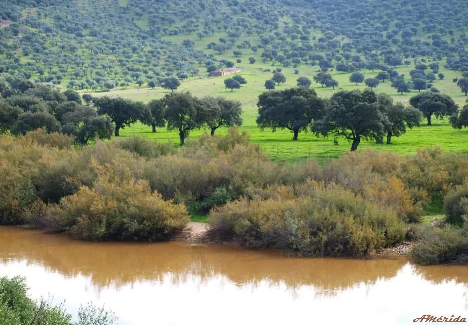 LA DEHESA por Antonio Mérida | Fotos de aquí y de allá