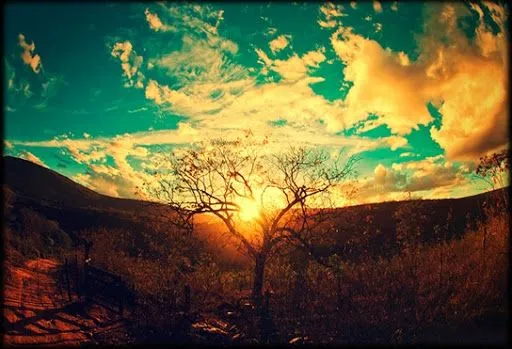 Déjame que te cuente: Paisaje