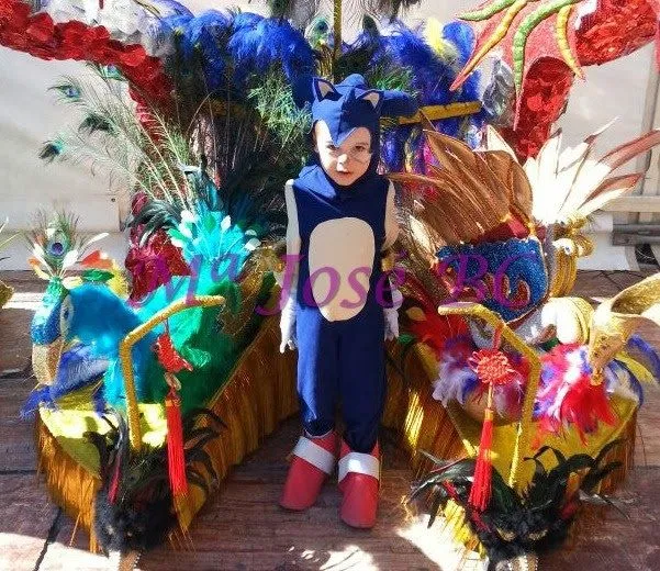 No dejamos ni las migas: Disfraz de Sonic