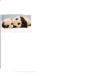 aqui les dejo los pandas bebes: