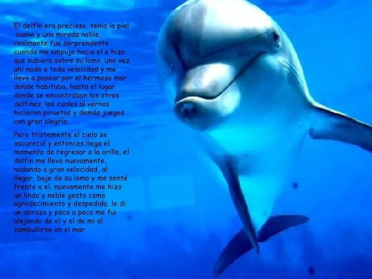 delfin-4-728.jpg?cb=1255284606