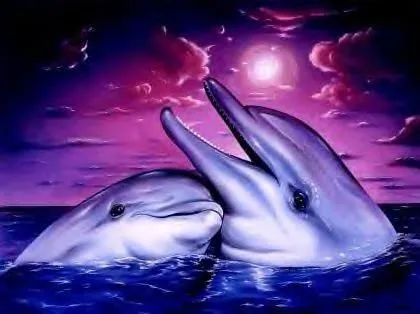 delfin amor - La Magia de la Tía Rosi - Gabito Grupos delfin amor - La Magia de la Tía Rosi - Gabito Grupos