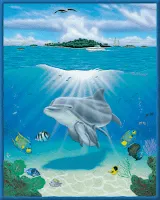 El mundo magico de los delfines