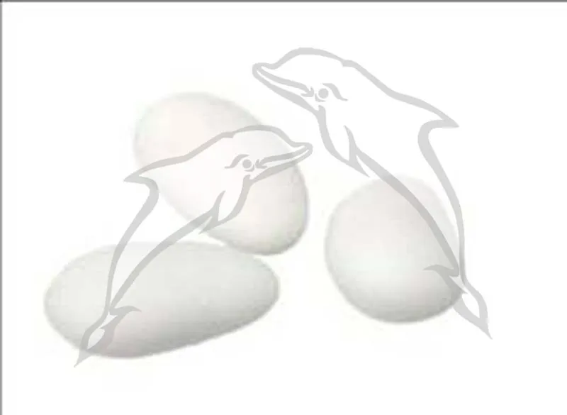 CARAMELOS :: PIFARRE - DISTRIBUCIONES DELFIN