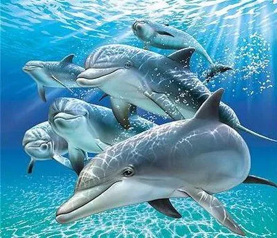 Delfines y Ballenas. Su Inteligencia, arte y espiritualidad.