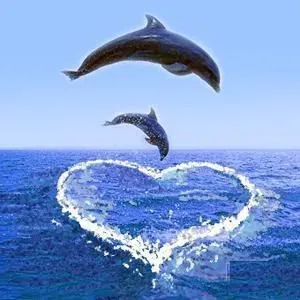 delfines bebes solos
