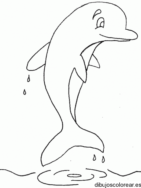 Delfines | Dibujos para Colorear