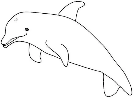 DELFINES DIBUJOS PARA COLOREAR
