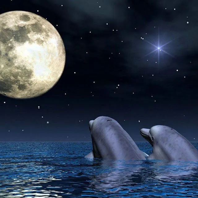 Amor Amistad Peyek: Delfines enamorados