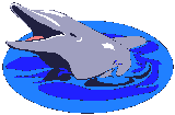 Delfines | Gifs animados