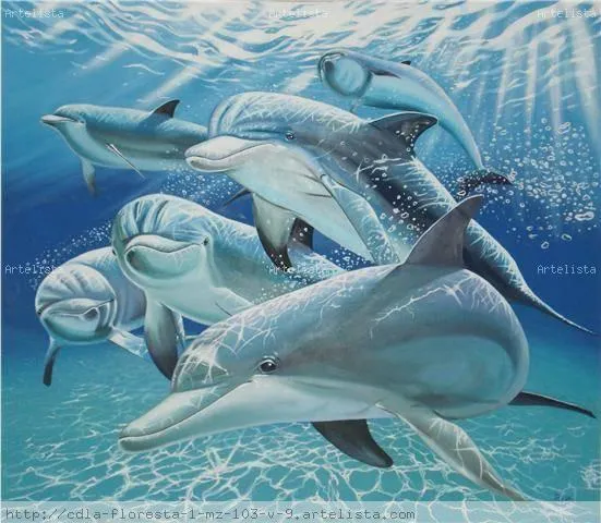 Delfines Ricardo Javier Valencia Sanchez - Artelista.com