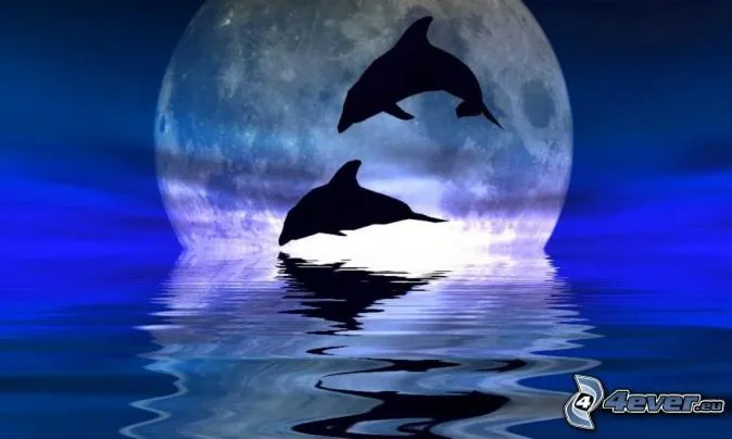 Delfines saltando