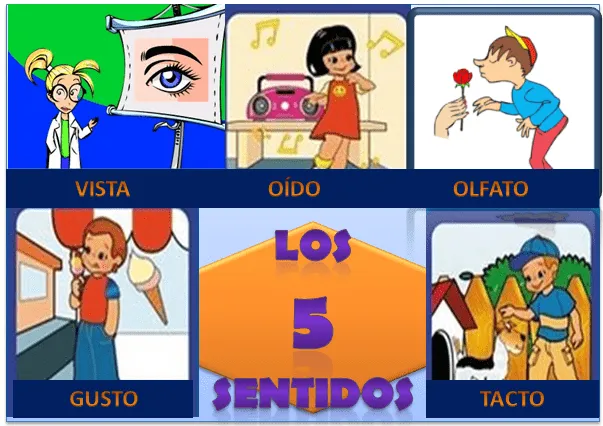 Láminas sobre los 5 sentidos - Imagui