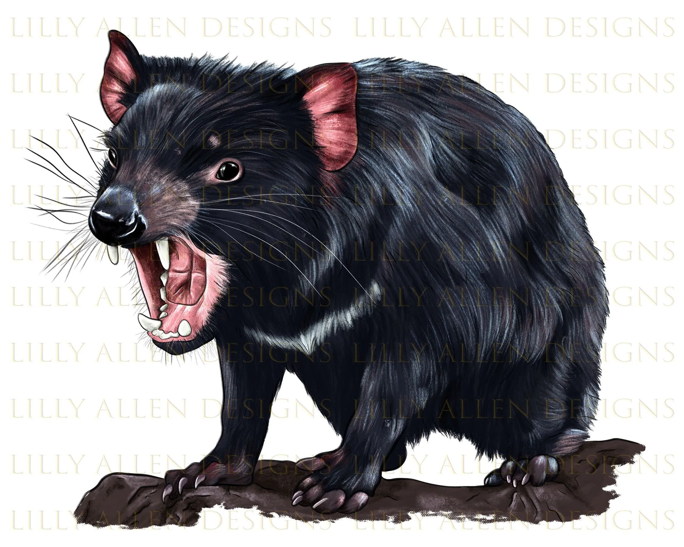 Demonio de Tasmania Ilustraciones Png Descarga digital Marten - Etsy México Demonio de Tasmania Ilustraciones Png Descarga digital Marten - Etsy México