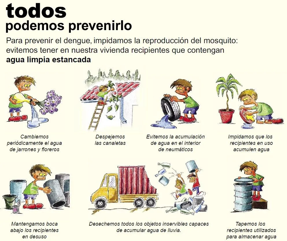 dengue | MI mochila