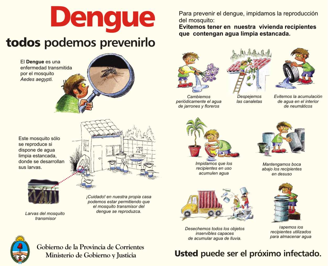 el dengue un mosquito peligroso enfermedad mortal - Taringa!