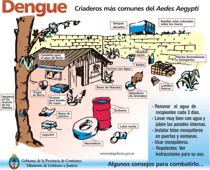 dengueas7.jpg