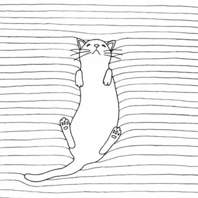 Dení Ixchel — GATITO #cat #gato #gatito #kitten #kitty... Dení Ixchel — GATITO #cat #gato #gatito #kitten #kitty...