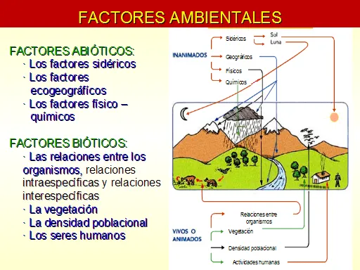 Derecho del medio ambiente y recursos naturales - Monografias.com