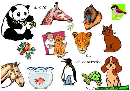Derechos Animales | DerechoAnimal.es