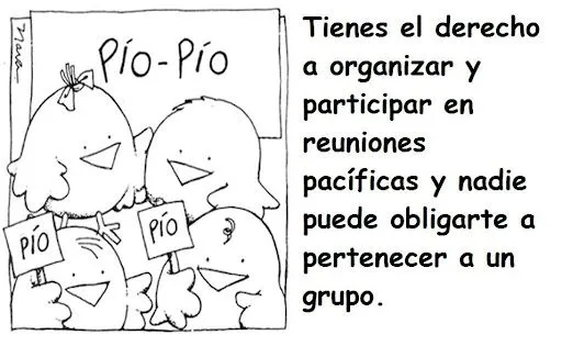 Derechos humanos dibujos - Imagui