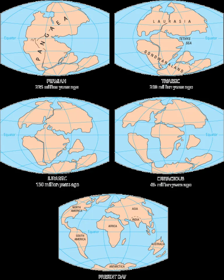 LA DERIVA CONTINENTAL – BIOLOGÍA y GEOLOGÍA LA DERIVA CONTINENTAL – BIOLOGÍA y GEOLOGÍA