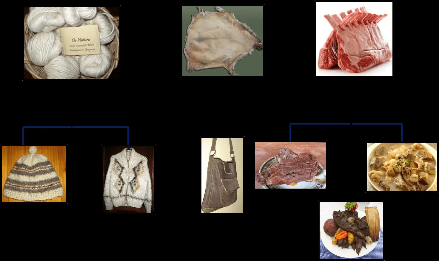 DERIVADOS DE LOS ANIMALES: DERIVADOS DE LA OVEJA DERIVADOS DE LOS ANIMALES: DERIVADOS DE LA OVEJA