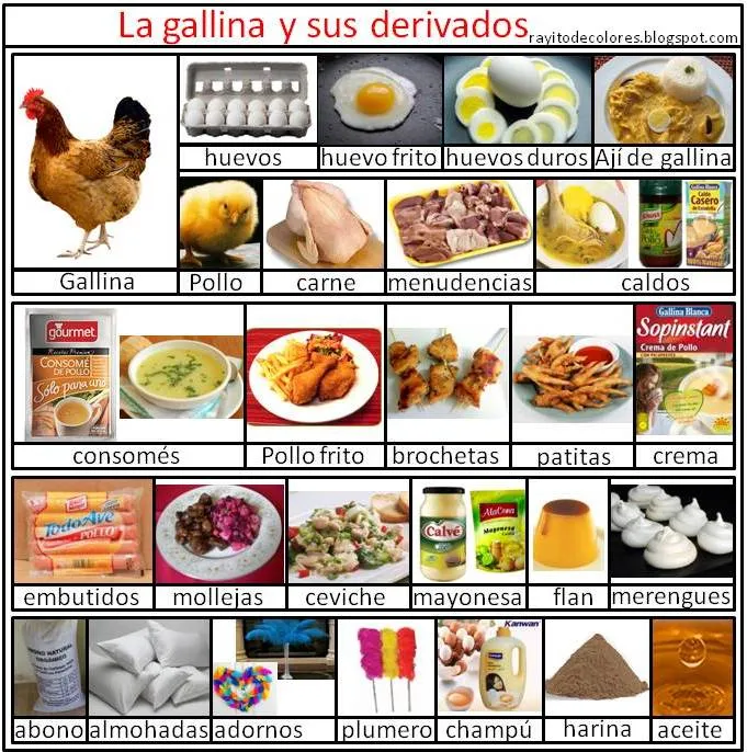 Derivados de los animales | Rayito de Colores