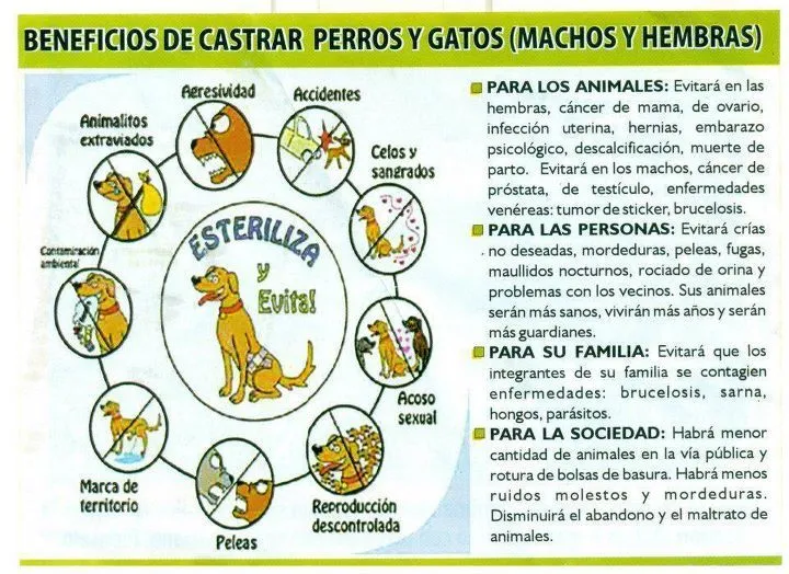 Derribando mitos acerca de la Castración Temprana | Sol 91.5