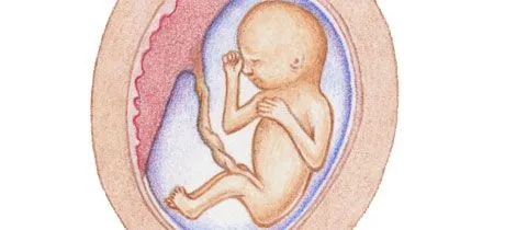 bebe-semana-16.jpg