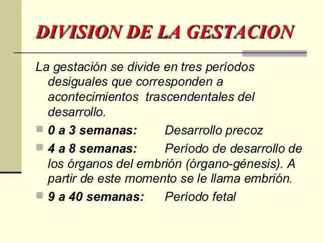 desarrollo-embrionario-y-fetal ...