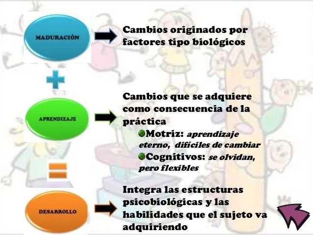 desarrollo-evolutivo-de-los- ...